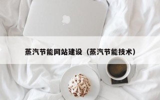 大丰蒸汽节能网站建设（蒸汽节能技术）