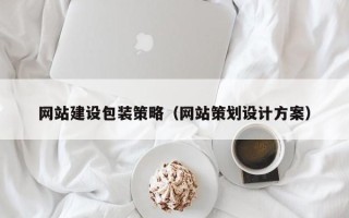 大丰网站建设包装策略（网站策划设计方案）
